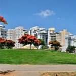 סקירת מגמות נדל"ן – חולון // בשיתוף עם YZER