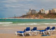 סקירת מגמות נדל"ן – נתניה // בשיתוף עם YZER