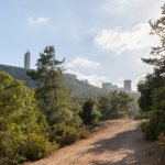 סקירת מגמות נדל"ן – נשר // בשיתוף עם YZER מערכת הבינה העסקית