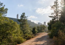 סקירת מגמות נדל"ן – נשר // בשיתוף עם YZER מערכת הבינה העסקית