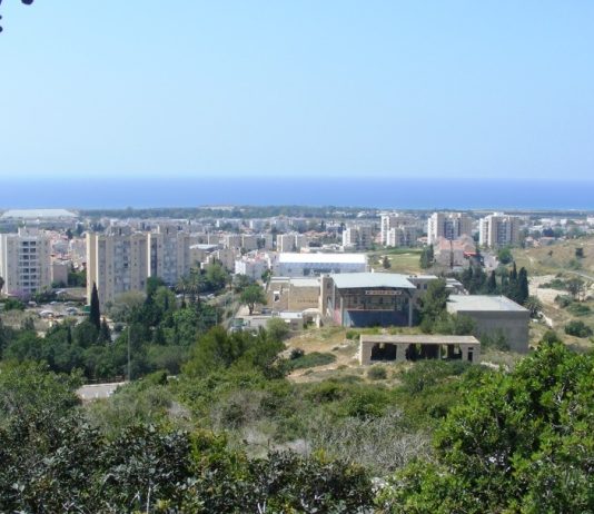 סקירת מגמות נדל"ן: טירת כרמל | בשיתוף עם YZER מערכת הבינה העסקית