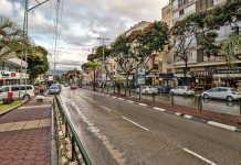 סקירת מגמות נדל"ן – כפר סבא // בשיתוף עם YZER מערכת הבינה העסקית