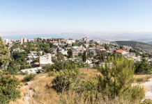 סקירת מגמות נדל"ן – צפת // בשיתוף עם YZER מערכת הבינה העסקית