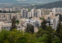 סקירת מגמות נדל"ן – מגדל העמק // בשיתוף עם YZER מערכת הבינה העסקית