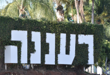 סקירת מגמות נדל"ן: רעננה – בשיתוף עם YZER מערכת הבינה העסקית