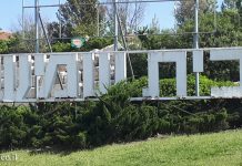 סקירת מגמות נדל"ן: בית שמש – בשיתוף עם YZER מערכת הבינה העסקית