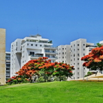 סקירת מגמות נדל"ן: חולון – בשיתוף עם YZER מערכת הבינה העסקית