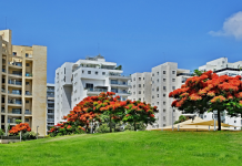 סקירת מגמות נדל"ן: חולון – בשיתוף עם YZER מערכת הבינה העסקית