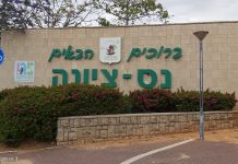 סקירת מגמות נדל"ן: נס ציונה – בשיתוף עם YZER מערכת הבינה העסקית