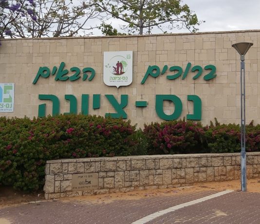סקירת מגמות נדל"ן: נס ציונה – בשיתוף עם YZER מערכת הבינה העסקית