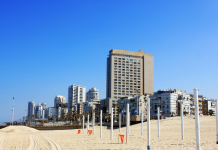 סקירת מגמות נדל"ן: בת ים – בשיתוף עם YZER מערכת הבינה העסקית