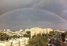 סקירת מגמות נדל"ן: ערד – בשיתוף עם YZER מערכת הבינה העסקית