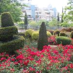 סקירת מגמות נדל"ן: כרמיאל – בשיתוף עם YZER מערכת הבינה העסקית