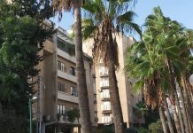 סקירת מגמות נדל"ן: כפר סבא | בשיתוף עם YZER מערכת הבינה העסקית