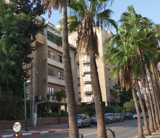 סקירת מגמות נדל"ן: כפר סבא | בשיתוף עם YZER מערכת הבינה העסקית
