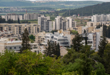 סקירת מגמות נדל"ן: מגדל העמק | בשיתוף עם YZER מערכת הבינה העסקית