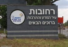 סקירת מגמות נדל"ן: רחובות | בשיתוף עם YZER מערכת הבינה העסקית