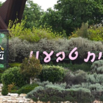 סקירת מגמות נדל"ן: קריית טבעון | בשיתוף עם YZER מערכת הבינה העסקית