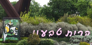 סקירת מגמות נדל"ן: קריית טבעון | בשיתוף עם YZER מערכת הבינה העסקית