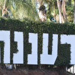 סקירת מגמות נדל"ן: רעננה | בשיתוף עם YZER מערכת הבינה העסקית