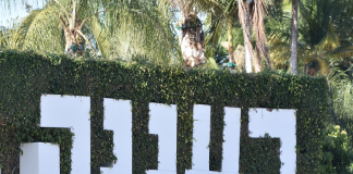 סקירת מגמות נדל"ן: רעננה | בשיתוף עם YZER מערכת הבינה העסקית