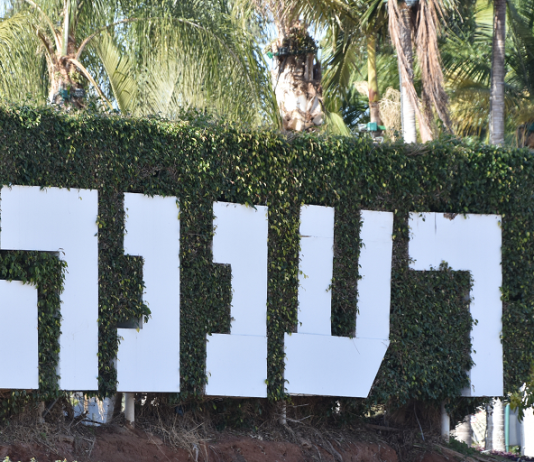 סקירת מגמות נדל"ן: רעננה | בשיתוף עם YZER מערכת הבינה העסקית