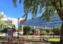 סקירת מגמות נדל"ן: ראשון לציון | בשיתוף עם YZER מערכת הבינה העסקית