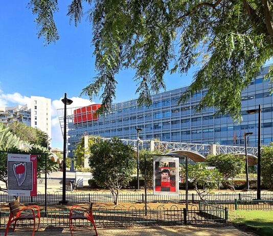 סקירת מגמות נדל"ן: ראשון לציון | בשיתוף עם YZER מערכת הבינה העסקית