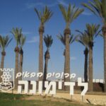 סקירת מגמות נדל"ן: דימונה | בשיתוף עם YZER מערכת הבינה העסקית