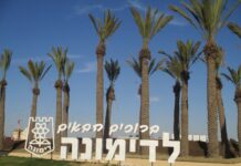 סקירת מגמות נדל"ן: דימונה | בשיתוף עם YZER מערכת הבינה העסקית