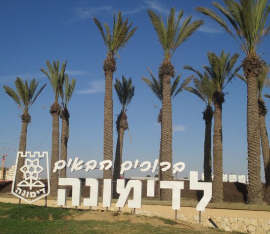 סקירת מגמות נדל"ן: דימונה | בשיתוף עם YZER מערכת הבינה העסקית