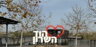סקירת מגמות נדל"ן: הוד השרון | בשיתוף עם YZER מערכת הבינה העסקית
