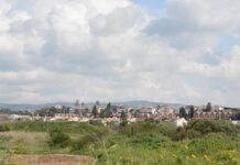 סקירת מגמות נדל"ן: עתלית | בשיתוף עם YZER מערכת הבינה העסקית