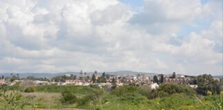 סקירת מגמות נדל"ן: עתלית | בשיתוף עם YZER מערכת הבינה העסקית