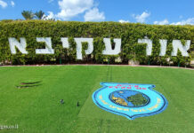 סקירת מגמות נדל"ן: אור עקיבא | בשיתוף עם YZER מערכת הבינה העסקית