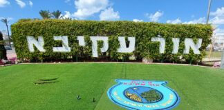 סקירת מגמות נדל"ן: אור עקיבא | בשיתוף עם YZER מערכת הבינה העסקית