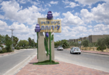 סקירת מגמות נדל"ן: ירוחם | בשיתוף עם YZER מערכת הבינה העסקית