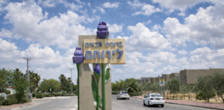 סקירת מגמות נדל"ן: ירוחם | בשיתוף עם YZER מערכת הבינה העסקית