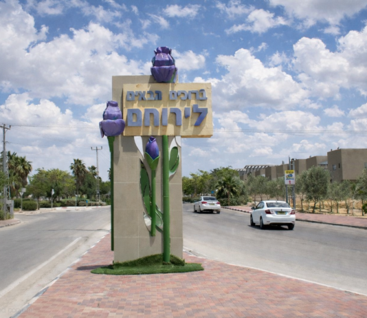 סקירת מגמות נדל"ן: ירוחם | בשיתוף עם YZER מערכת הבינה העסקית