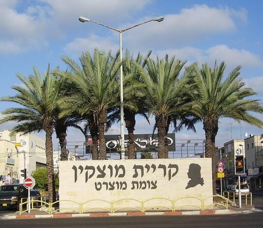 סקירת מגמות נדל"ן: קריית מוצקין | בשיתוף עם YZER מערכת הבינה העסקית