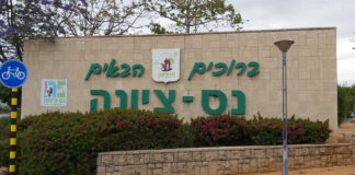 סקירת מגמות נדל"ן: נס ציונה | בשיתוף עם YZER מערכת הבינה העסקית