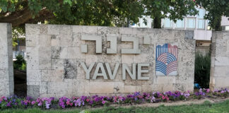 סקירת מגמות נדל"ן: יבנה | בשיתוף עם YZER מערכת הבינה העסקית