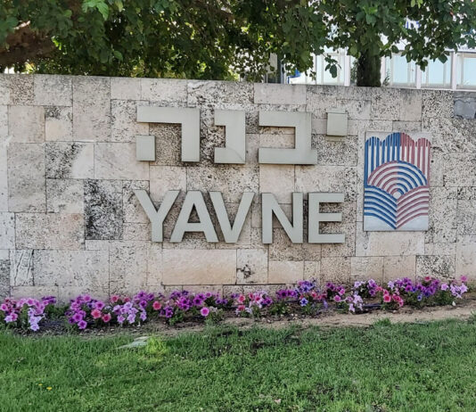 סקירת מגמות נדל"ן: יבנה | בשיתוף עם YZER מערכת הבינה העסקית