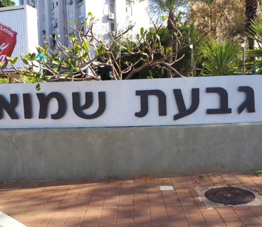 סקירת מגמות נדל"ן: גבעת שמואל | בשיתוף עם YZER מערכת הבינה העסקית