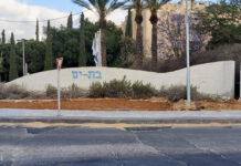 סקירת מגמות נדל"ן: בת ים | בשיתוף עם YZER מערכת הבינה העסקית