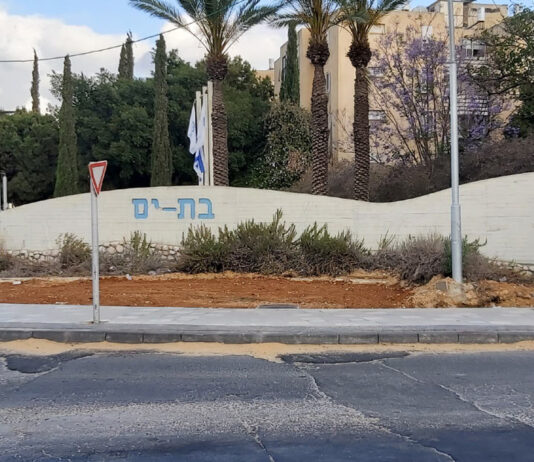 סקירת מגמות נדל"ן: בת ים | בשיתוף עם YZER מערכת הבינה העסקית